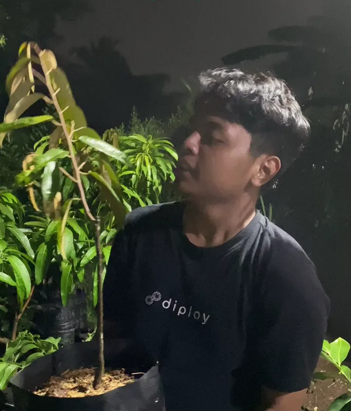 Bibit Durian Mantuala Batu Hayam, foto 1