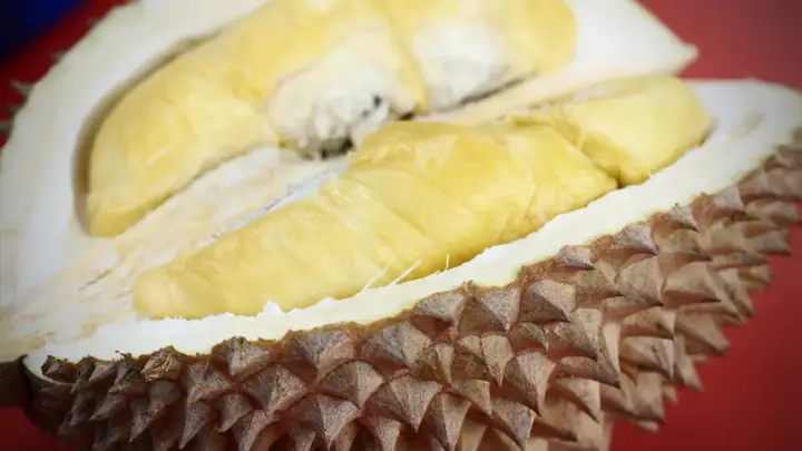 Mengenal Durian Musang King: Asal, Ciri Buah, dan Tips Menanamnya