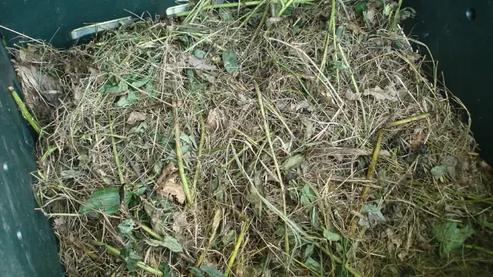 Mulsa untuk Kebun Buah: Manfaat, Jenis, dan Cara Memasangnya