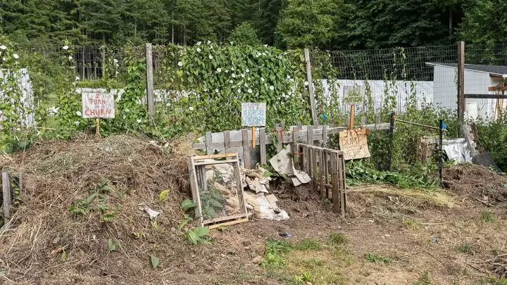 Cara Membuat Pupuk Organik Cair (POC) dari Bahan di Sekitar Kebun